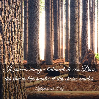 Picture 03 - Lévitique 21:22 LSG - Il pourra manger l'aliment de son Dieu, des - Bible Verse Picture