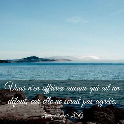 Picture 03 - Lévitique 22:20 LSG - Vous n'en offrirez aucune qui ait un défaut, car - Bible Verse Picture