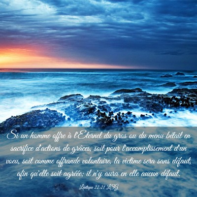 Picture 03 - Lévitique 22:21 LSG - Si un homme offre à l'Eternel du gros ou du menu - Bible Verse Picture