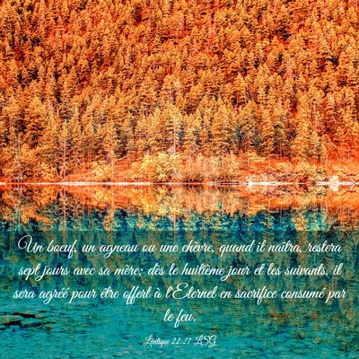 Picture 03 - Lévitique 22:27 LSG - Un boeuf, un agneau ou une chèvre, quand il - Bible Verse Picture