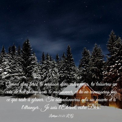 Picture 03 - Lévitique 23:22 LSG - Quand vous ferez la moisson dans votre pays, tu - Bible Verse Picture