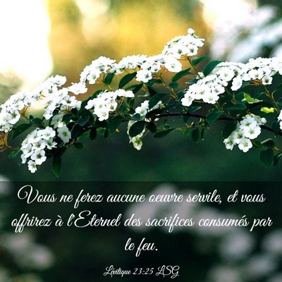 Picture 03 - Lévitique 23:25 LSG - Vous ne ferez aucune oeuvre servile, et vous - Bible Verse Picture