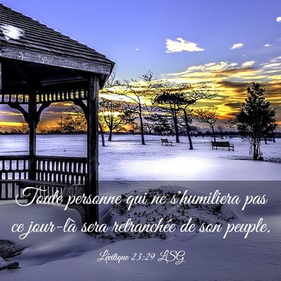Picture 03 - Lévitique 23:29 LSG - Toute personne qui ne s'humiliera pas ce jour-là - Bible Verse Picture