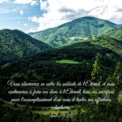Picture 03 - Lévitique 23:38 LSG - Vous observerez en outre les sabbats de - Bible Verse Picture