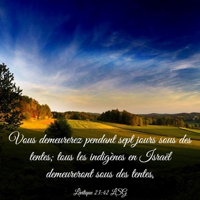 Picture 03 - Lévitique 23:42 LSG - Vous demeurerez pendant sept jours sous des - Bible Verse Picture
