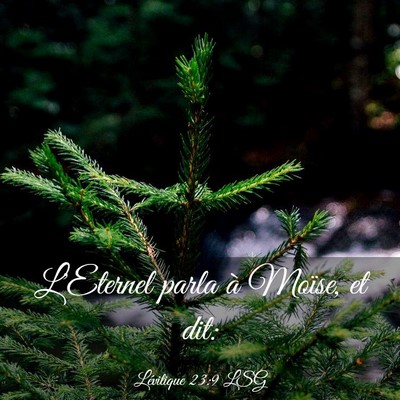 Picture 03 - Lévitique 23:9 LSG - L'Eternel parla à Moïse, et - Bible Verse Picture