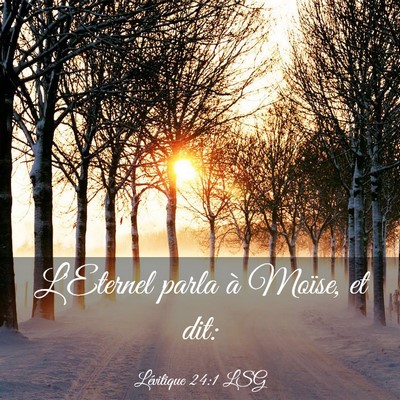 Picture 03 - Lévitique 24:1 LSG - L'Eternel parla à Moïse, et - Bible Verse Picture