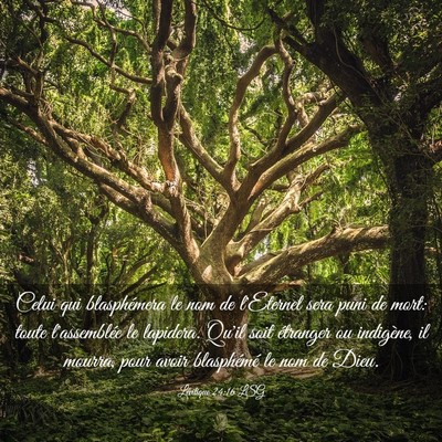 Picture 03 - Lévitique 24:16 LSG - Celui qui blasphémera le nom de l'Eternel sera - Bible Verse Picture