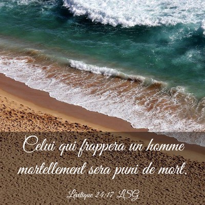 Picture 03 - Lévitique 24:17 LSG - Celui qui frappera un homme mortellement sera - Bible Verse Picture