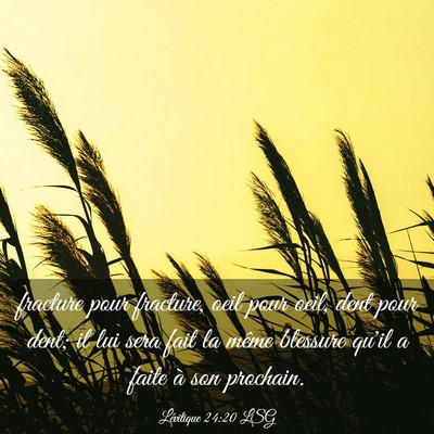 Picture 03 - Lévitique 24:20 LSG - fracture pour fracture, oeil pour oeil, dent pour - Bible Verse Picture