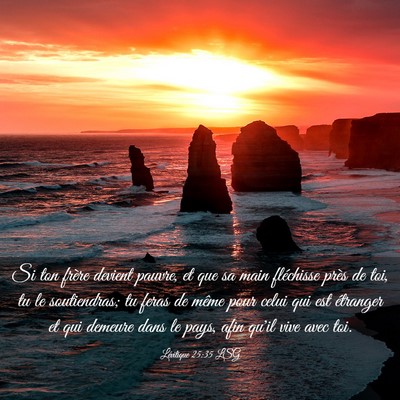 Picture 03 - Lévitique 25:35 LSG - Si ton frère devient pauvre, et que sa main - Bible Verse Picture