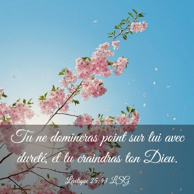 Picture 03 - Lévitique 25:43 LSG - Tu ne domineras point sur lui avec dureté, et tu - Bible Verse Picture