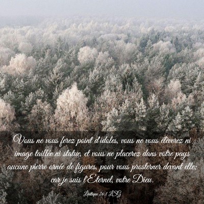 Picture 03 - Lévitique 26:1 LSG - Vous ne vous ferez point d'idoles, vous ne vous - Bible Verse Picture