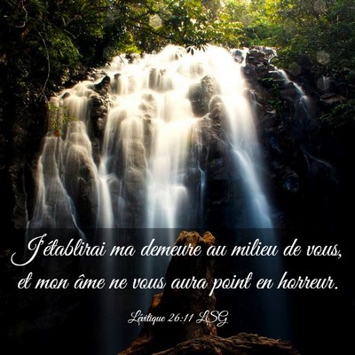 Picture 03 - Lévitique 26:11 LSG - J'établirai ma demeure au milieu de vous, et mon - Bible Verse Picture