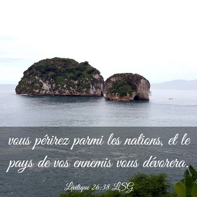 Picture 03 - Lévitique 26:38 LSG - vous périrez parmi les nations, et le pays de - Bible Verse Picture