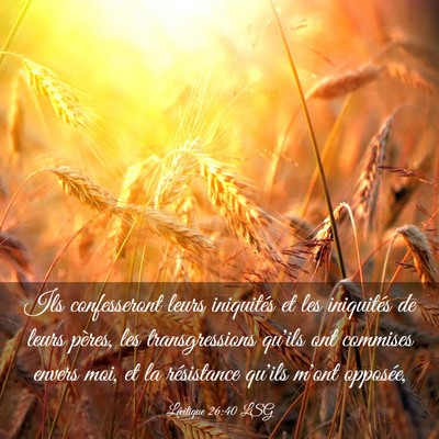 Picture 03 - Lévitique 26:40 LSG - Ils confesseront leurs iniquités et les - Bible Verse Picture