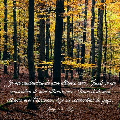 Picture 03 - Lévitique 26:42 LSG - Je me souviendrai de mon alliance avec Jacob, je - Bible Verse Picture