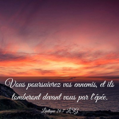 Picture 03 - Lévitique 26:7 LSG - Vous poursuivrez vos ennemis, et ils tomberont - Bible Verse Picture