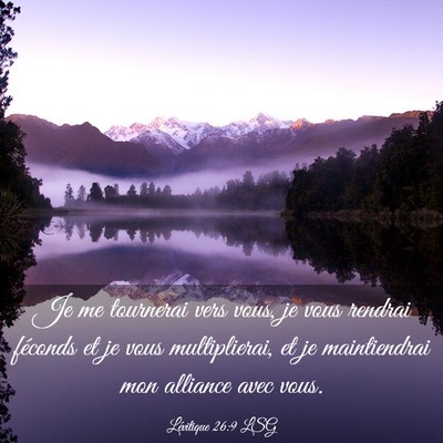 Picture 03 - Lévitique 26:9 LSG - Je me tournerai vers vous, je vous rendrai - Bible Verse Picture