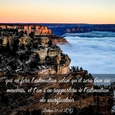 Picture 03 - Lévitique 27:12 LSG - qui en fera l'estimation selon qu'il sera bon ou - Bible Verse Picture
