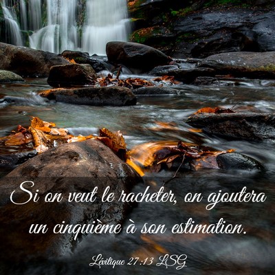 Picture 03 - Lévitique 27:13 LSG - Si on veut le racheter, on ajoutera un cinquième - Bible Verse Picture