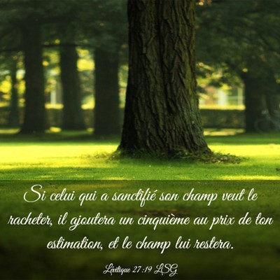 Picture 03 - Lévitique 27:19 LSG - Si celui qui a sanctifié son champ veut le - Bible Verse Picture