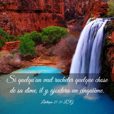 Picture 03 - Lévitique 27:31 LSG - Si quelqu'un veut racheter quelque chose de sa - Bible Verse Picture