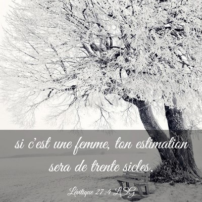 Picture 03 - Lévitique 27:4 LSG - si c'est une femme, ton estimation sera de trente - Bible Verse Picture