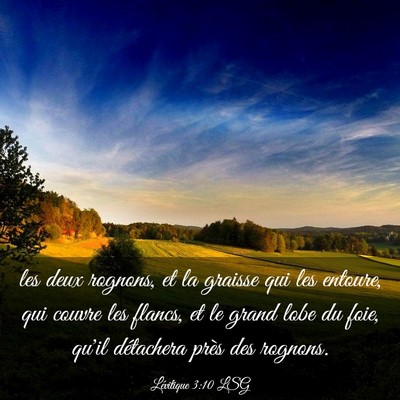 Picture 03 - Lévitique 3:10 LSG - les deux rognons, et la graisse qui les entoure, - Bible Verse Picture