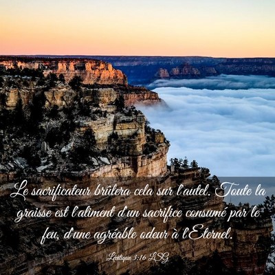 Picture 03 - Lévitique 3:16 LSG - Le sacrificateur brûlera cela sur l'autel. Toute - Bible Verse Picture