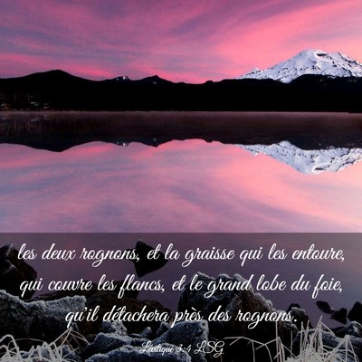 Picture 03 - Lévitique 3:4 LSG - les deux rognons, et la graisse qui les entoure, - Bible Verse Picture
