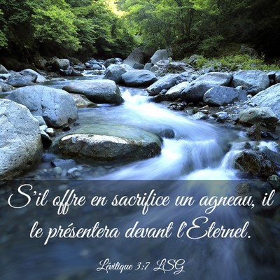 Picture 03 - Lévitique 3:7 LSG - S'il offre en sacrifice un agneau, il le - Bible Verse Picture