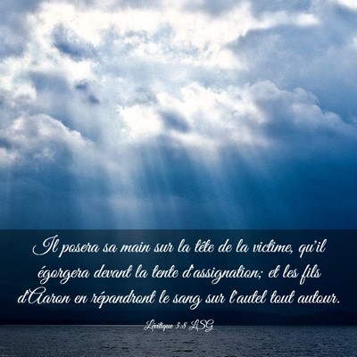Picture 03 - Lévitique 3:8 LSG - Il posera sa main sur la tête de la victime, - Bible Verse Picture