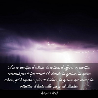 Picture 03 - Lévitique 3:9 LSG - De ce sacrifice d'actions de grâces, il offrira - Bible Verse Picture