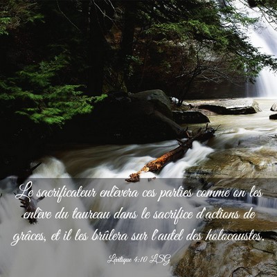 Picture 03 - Lévitique 4:10 LSG - Le sacrificateur enlèvera ces parties comme on - Bible Verse Picture