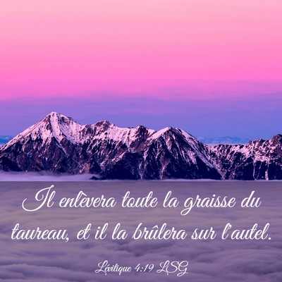 Picture 03 - Lévitique 4:19 LSG - Il enlèvera toute la graisse du taureau, et il - Bible Verse Picture