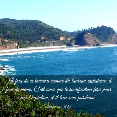 Picture 03 - Lévitique 4:20 LSG - Il fera de ce taureau comme du taureau - Bible Verse Picture