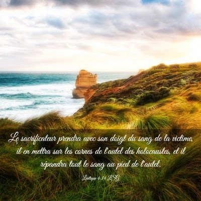 Picture 03 - Lévitique 4:34 LSG - Le sacrificateur prendra avec son doigt du sang - Bible Verse Picture
