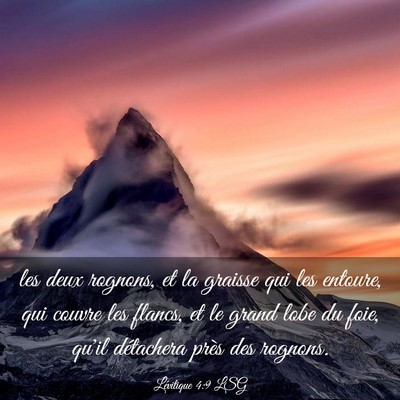 Picture 03 - Lévitique 4:9 LSG - les deux rognons, et la graisse qui les entoure, - Bible Verse Picture