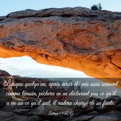Picture 03 - Lévitique 5:1 LSG - Lorsque quelqu'un, après avoir été mis sous - Bible Verse Picture