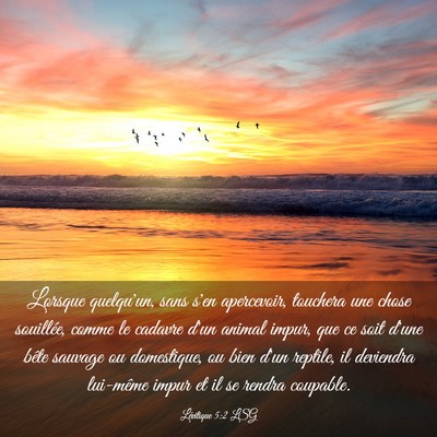 Picture 03 - Lévitique 5:2 LSG - Lorsque quelqu'un, sans s'en apercevoir, touchera - Bible Verse Picture