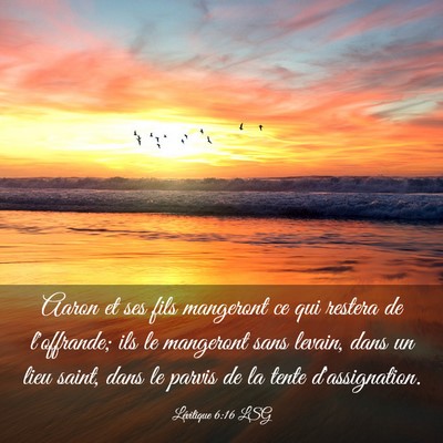 Picture 03 - Lévitique 6:16 LSG - Aaron et ses fils mangeront ce qui restera de - Bible Verse Picture