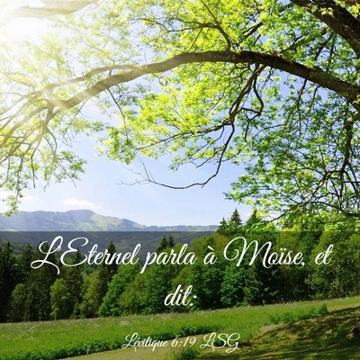 Picture 03 - Lévitique 6:19 LSG - L'Eternel parla à Moïse, et - Bible Verse Picture