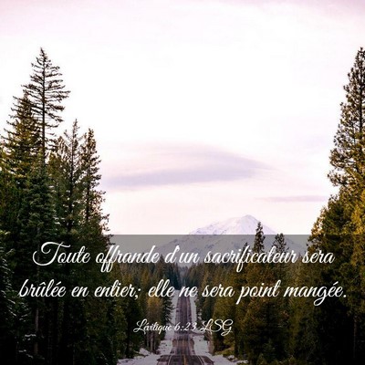 Picture 03 - Lévitique 6:23 LSG - Toute offrande d'un sacrificateur sera brûlée - Bible Verse Picture