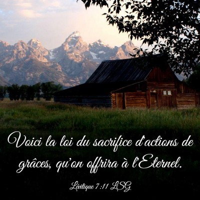 Picture 03 - Lévitique 7:11 LSG - Voici la loi du sacrifice d'actions de grâces, - Bible Verse Picture