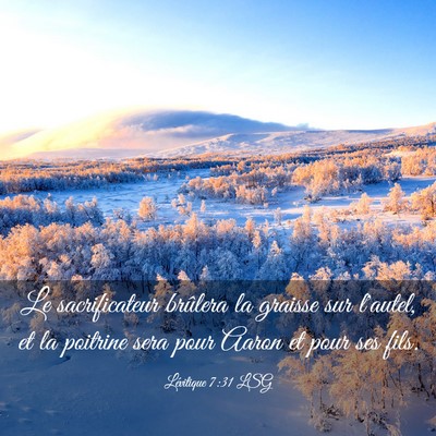 Picture 03 - Lévitique 7:31 LSG - Le sacrificateur brûlera la graisse sur l'autel, - Bible Verse Picture
