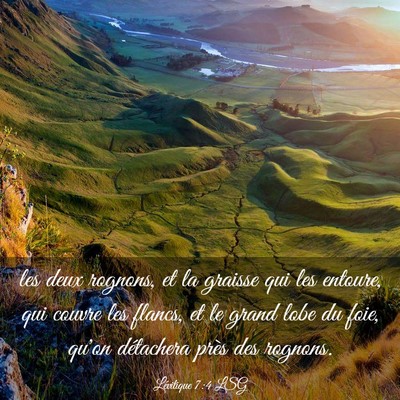 Picture 03 - Lévitique 7:4 LSG - les deux rognons, et la graisse qui les entoure, - Bible Verse Picture
