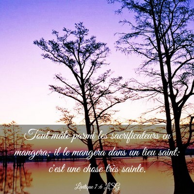 Picture 03 - Lévitique 7:6 LSG - Tout mâle parmi les sacrificateurs en mangera; - Bible Verse Picture