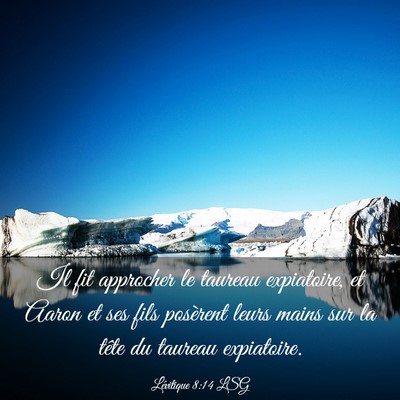 Picture 03 - Lévitique 8:14 LSG - Il fit approcher le taureau expiatoire, et Aaron - Bible Verse Picture