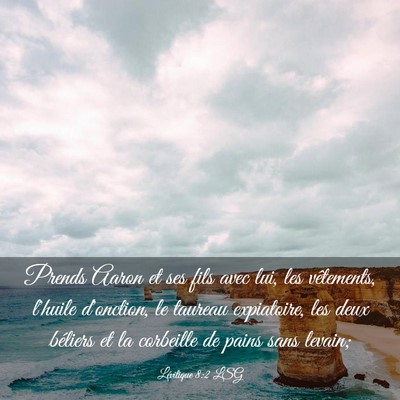 Picture 03 - Lévitique 8:2 LSG - Prends Aaron et ses fils avec lui, les - Bible Verse Picture